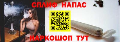 стаф Тула