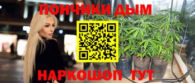 стаф Тула