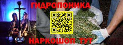 стаф Тула