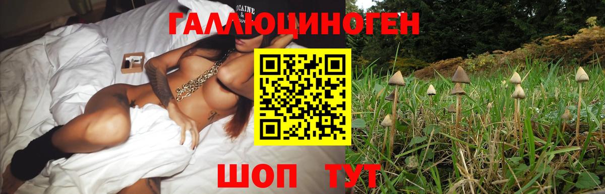 что такое наркотик  Псилоцибиновые грибы Psilocybine cubensis  Вход с VPN  Новочеркасск 